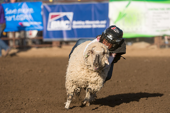 WJ_Stampede_070116-137