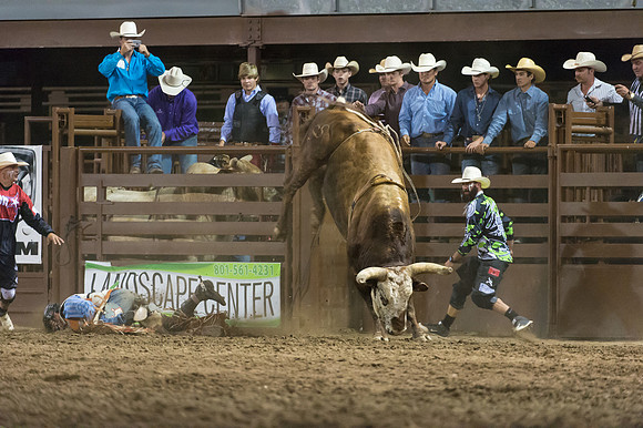 WJ_Stampede_070116-864