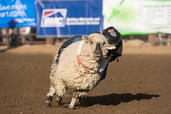 WJ_Stampede_070116-138