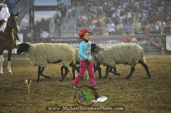 _MAB0334WJStampede_07_04_2012_749_
