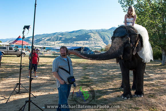 SimspixElephantBridal-44
