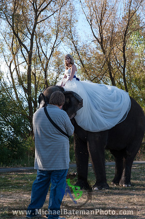 SimspixElephantBridal-51