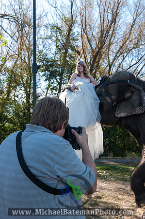 SimspixElephantBridal-76