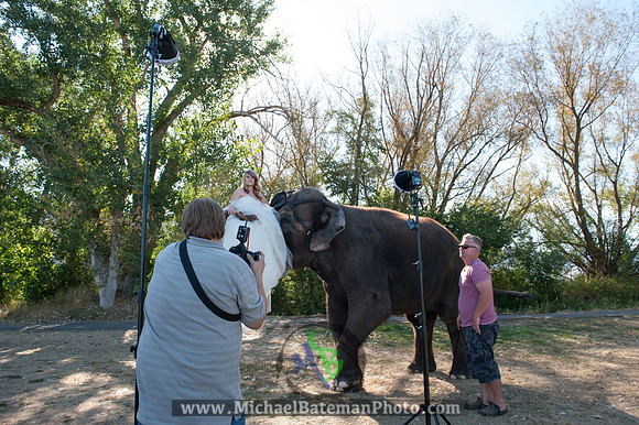 SimspixElephantBridal-79