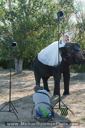 SimspixElephantBridal-47