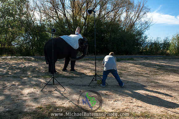 SimspixElephantBridal-29