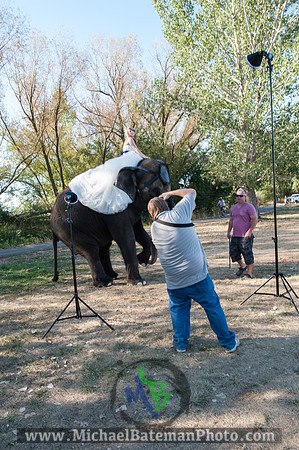 SimspixElephantBridal-59