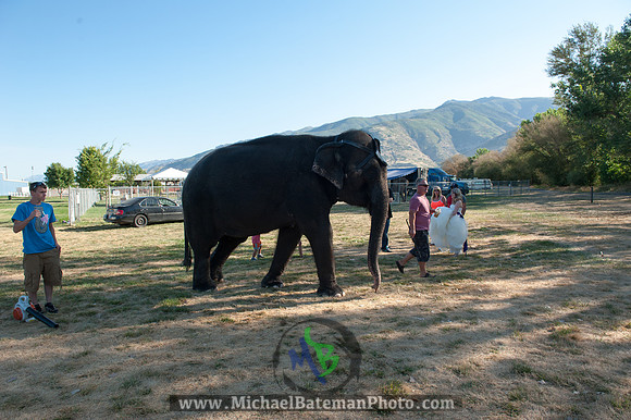 SimspixElephantBridal-7