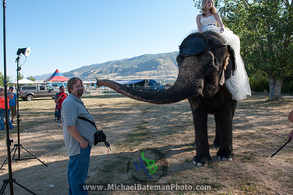 SimspixElephantBridal-40