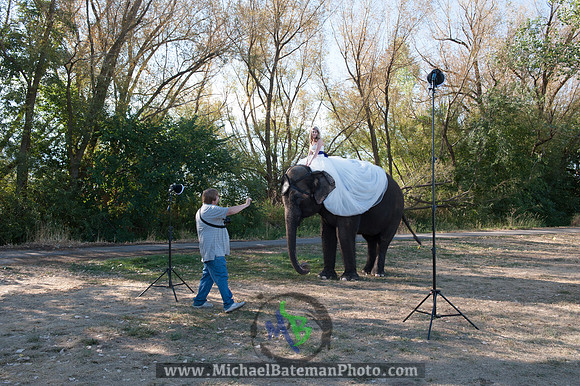 SimspixElephantBridal-49