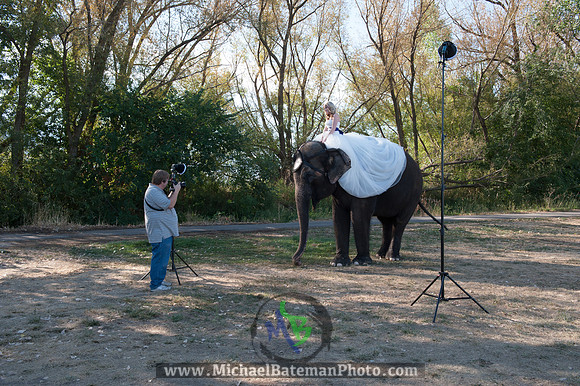 SimspixElephantBridal-48