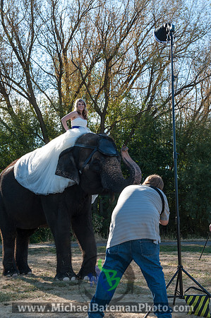 SimspixElephantBridal-33
