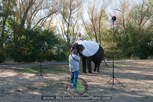 SimspixElephantBridal-50