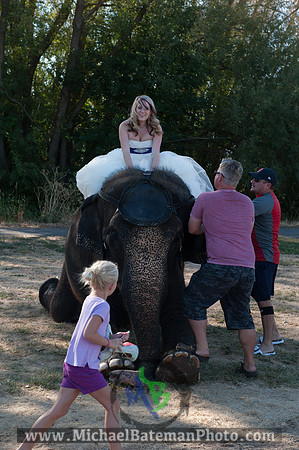 SimspixElephantBridal-13
