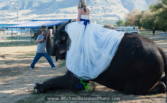 SimspixElephantBridal-21