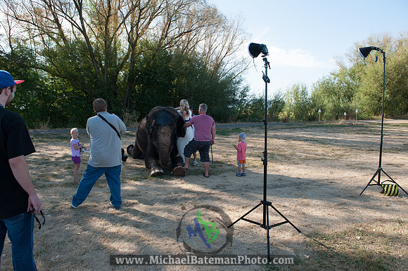 SimspixElephantBridal-11