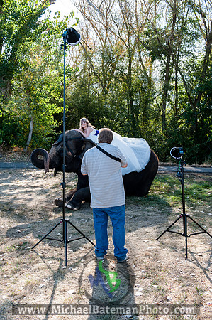 SimspixElephantBridal-63