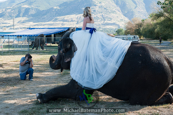 SimspixElephantBridal-20