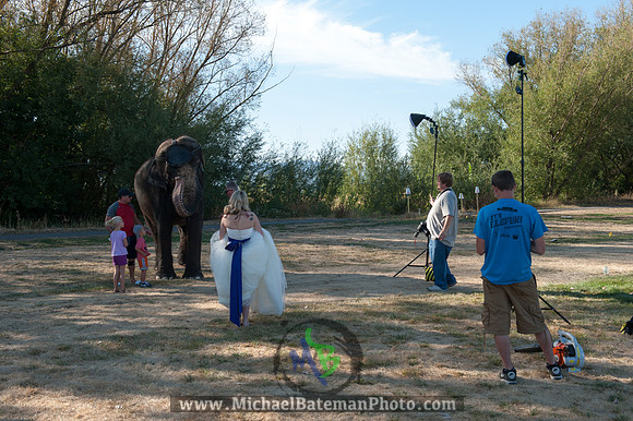 SimspixElephantBridal-10