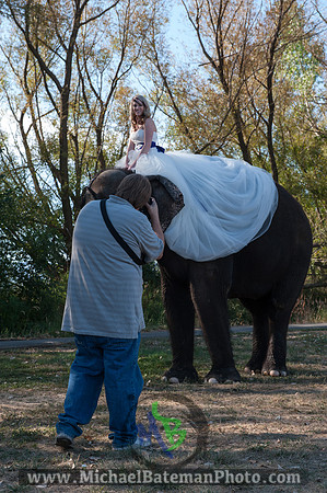 SimspixElephantBridal-52