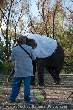 SimspixElephantBridal-53
