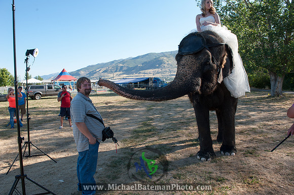 SimspixElephantBridal-41