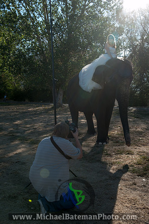SimspixElephantBridal-27