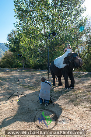 SimspixElephantBridal-37