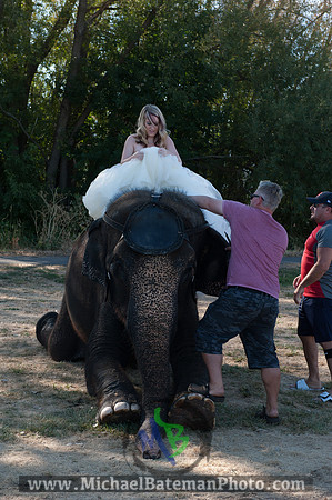 SimspixElephantBridal-14