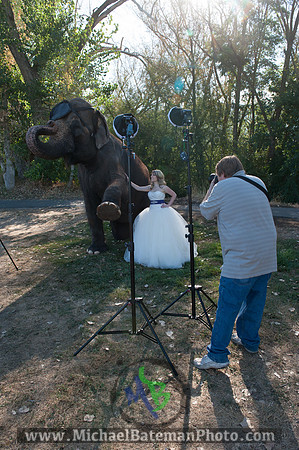 SimspixElephantBridal-70