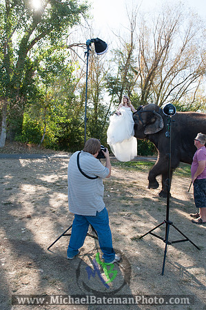 SimspixElephantBridal-75