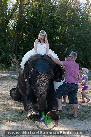 SimspixElephantBridal-15