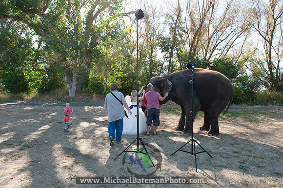 SimspixElephantBridal-74