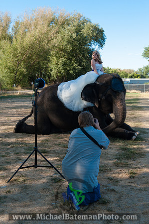 SimspixElephantBridal-24