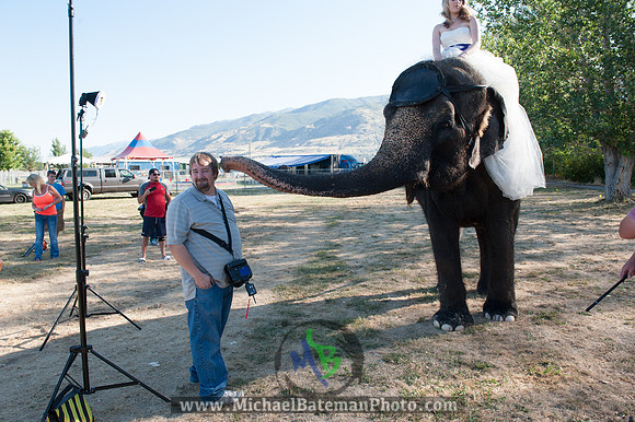 SimspixElephantBridal-42