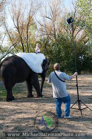 SimspixElephantBridal-54
