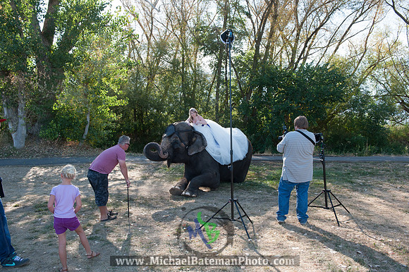 SimspixElephantBridal-65