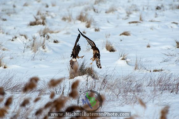 FarmingtonBay010113-2685