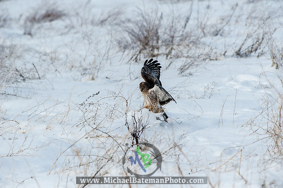 FarmingtonBay010113-2689