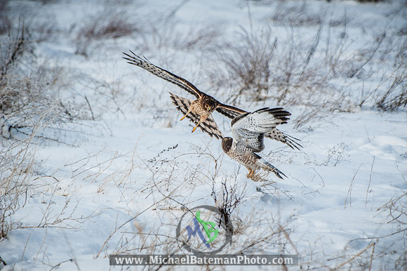 FarmingtonBay010113-2692