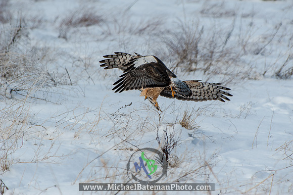FarmingtonBay010113-2693