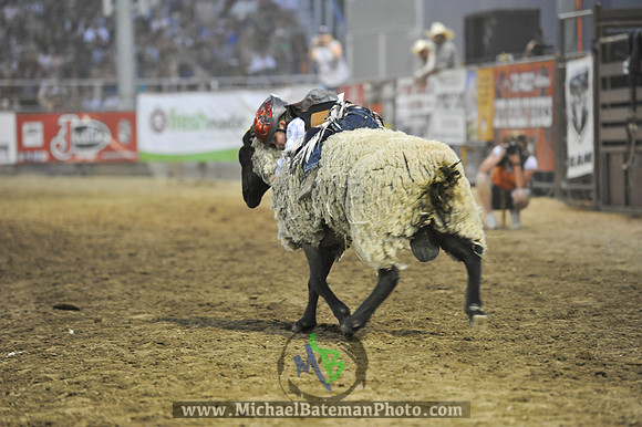 _MAB0393WJStampede_07_04_2012_808_