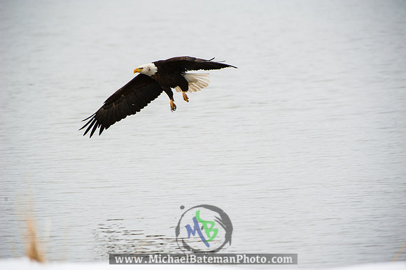 FarmingtonBay-4044