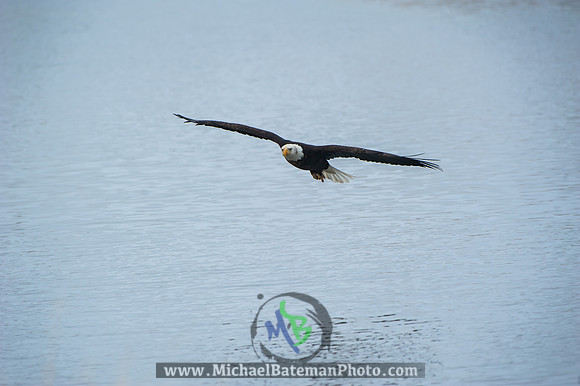FarmingtonBay-4059