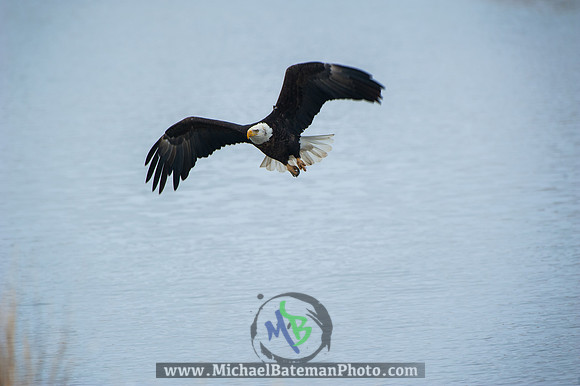 FarmingtonBay-4061