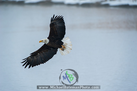 FarmingtonBay-4064