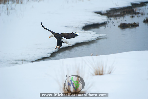 FarmingtonBay-4073