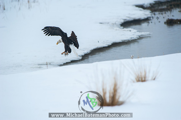 FarmingtonBay-4074