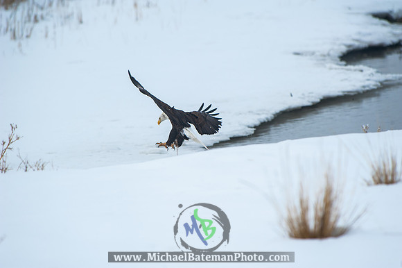 FarmingtonBay-4075