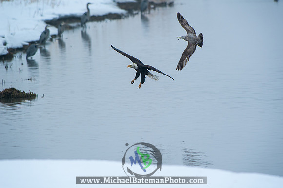 FarmingtonBay-4080